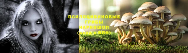 молекула духа Белокуриха